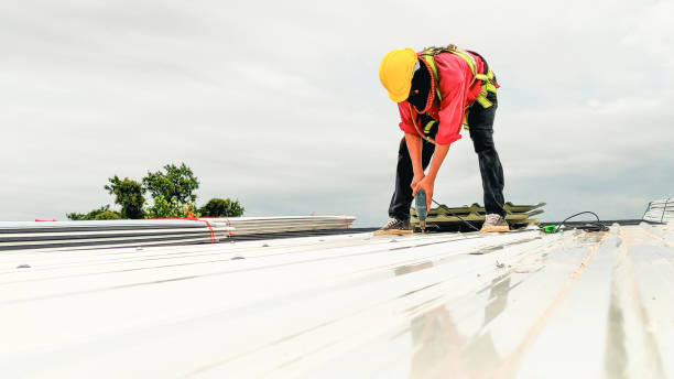 Best Sheet Metal Roofing  in Duboistown, PA